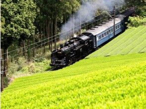 大井川鐵道SL乗車体験＆「可睡ゆりの園」と新名所「日本平夢テラス」見学バスツアー【14232】
