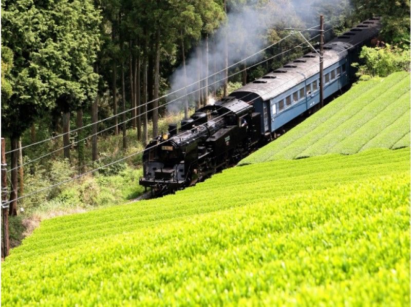 大井川鐵道SL乗車体験&「可睡ゆりの園」と新名所「日本平夢テラス」見学バスツアー【14232】