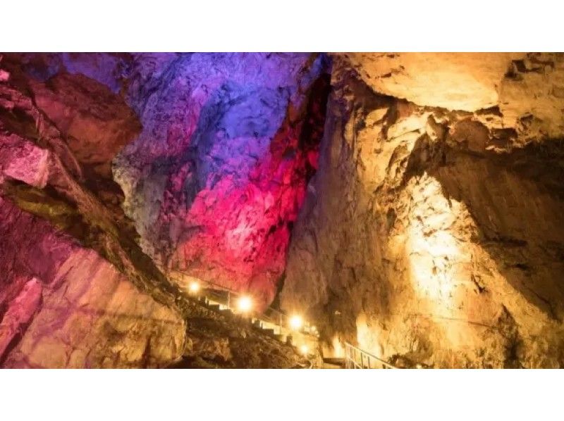 【Okutama】 Nippara Limestone Cave & Wasabi Farm Tourの紹介画像