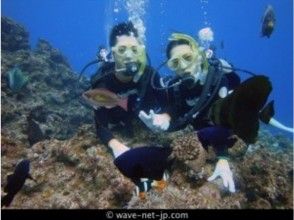 【ダイビング】青の洞窟体験ダイビングツアー ※WEB割引/2名様~※の画像