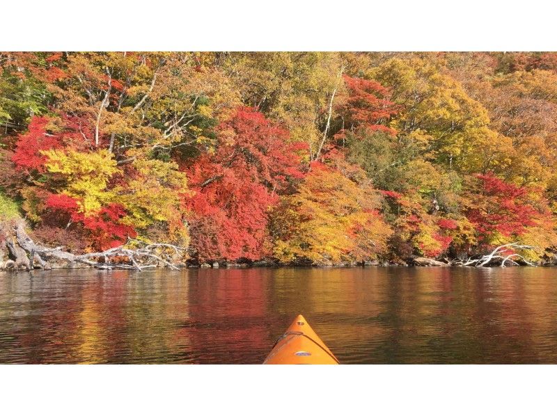 ≪午前・午後開催≫湖上の上から紅葉を堪能カヌー