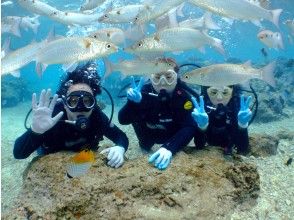 [Onna Village Cape Maeda] Two experiences! Snorkel & experience diving tour