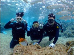 [Onna Village Maeda Cape] Two experiences! Snorkeling + Trial Diving