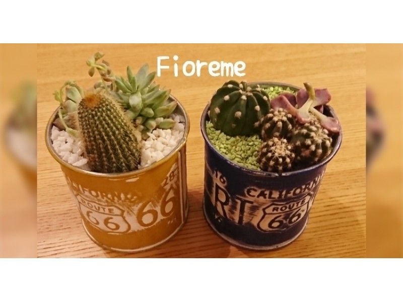 【東京・中央区】癒し効果抜群!ミニサボテン×多肉植物の寄植え製作体験【25025】