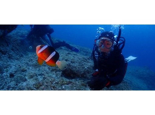 【沖縄・伊良部島】体験ダイビング～初めての方でも安心！水中で呼吸が出来る体験をしよう！の画像