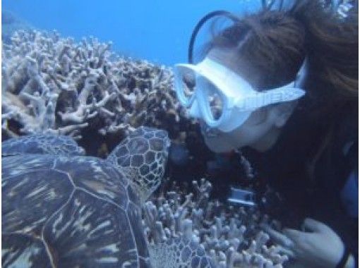 沖縄離島 スキューバダイビング 日帰り旅行 遊び アクティビティ体験一覧 トラベルコ 4ページ