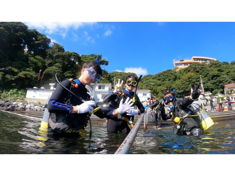 【静岡・伊豆】お写真プレゼント！水中デジカメ無料レンタルあり！伊豆の海で体験ダイビング＜初心者・未経験者向け＞の紹介画像