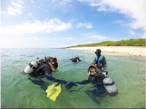Free With a shuttle bus! PADI Diving [Okinawa Open Water License Course]の画像
