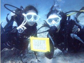 【石垣島・着日受講可】動画撮影付き！PADI OWDライセンス取得講習（最短1.5日間）安心の補講1回分無料、送迎付き