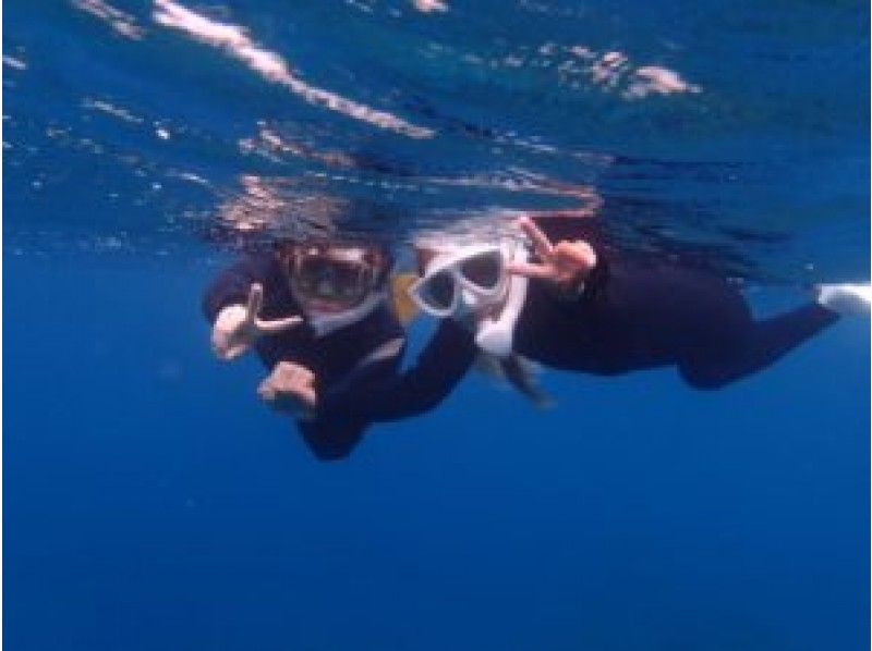 [冲绳县 -石垣岛]你也可能会遇到海龟和蝠！ ？浮潜之旅（半天或一天）儿童参与OK！の紹介画像