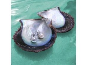 【東京・上野】あこや貝から真珠を取り出そう！真珠の珠出し体験＜ケース付き＞　の画像