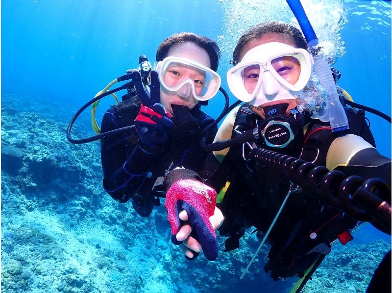 ★初學者和空白潛水員支持計劃！ ！ ★Kerama船扇2潛水[從主島，設備免費，全天]の紹介画像