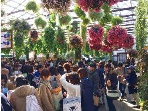 【大阪発】≪3つの特典付≫「夏のことり万博」開催！掛川花鳥園たっぷり満喫★日帰りバスツアー14703