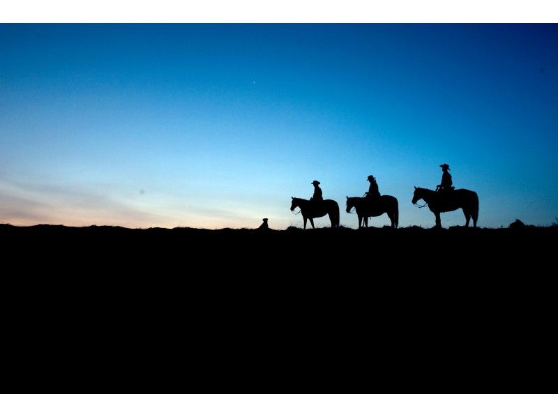 【熊本・阿蘇】くまもっと 乙姫スターライトトレッキング引換券・星空の下でホーストレッキング