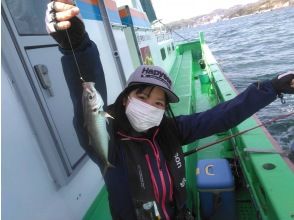 [Kanagawa Kanazawa Hakkei] Let's easily catch horse mackerel on a half-day boat fishing!