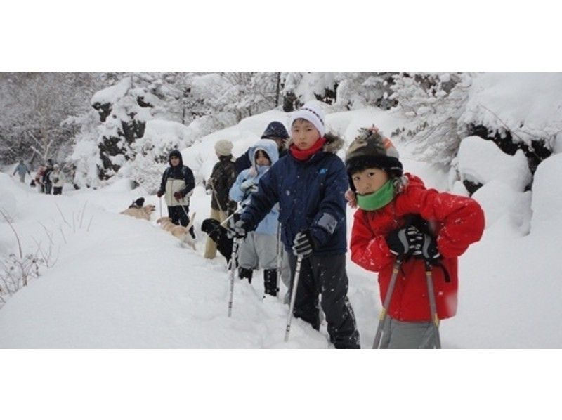 【長野・軽井沢】小浅間山登頂スノーシュートレッキング~大迫力の浅間山を間近に望む大パノラマ~7才から