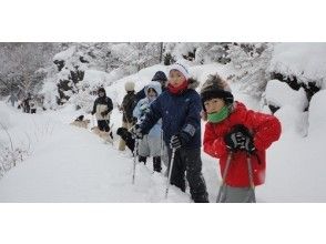 【長野・浅間山】~地球の鼓動を感じる雪と溶岩のコントラスト~鬼押出し溶岩探検スノーシュートレッキングの画像