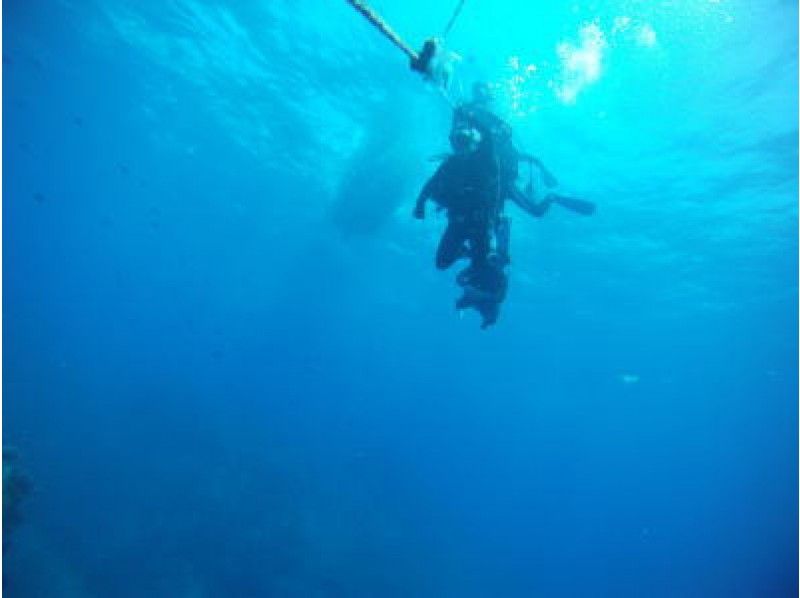 【沖縄・粟国島】大迫力の魚群トルネード！ファンダイブで粟国島の美しい海を堪能しよう★(最大３ダイブ)