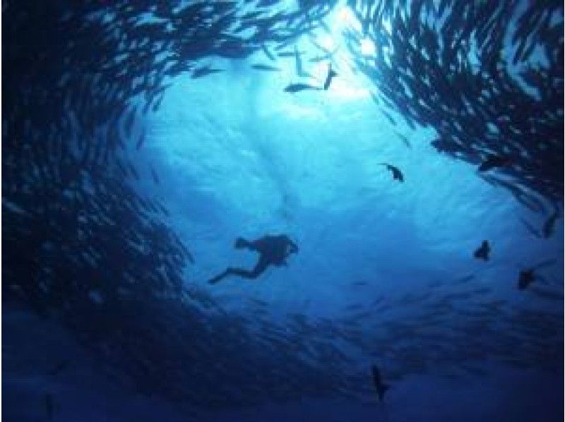 【沖縄・粟国島】昼間とは景色の違う夜の別世界へ！回遊魚天国ナイトダイビングコース (ライセンス必須)