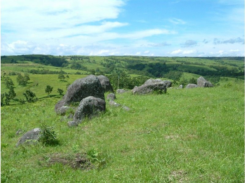 646 Kumamoto Aso Kuma More Going With A Geo Guide Jomon Sanctuary Power Spot Oshitoishi No Oka B Course Activityjapan