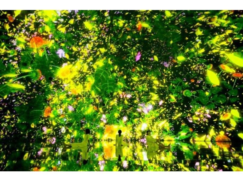 【豊洲】teamLab Planets チームラボ プラネッツ入場券 (週末/祝日のご入場)