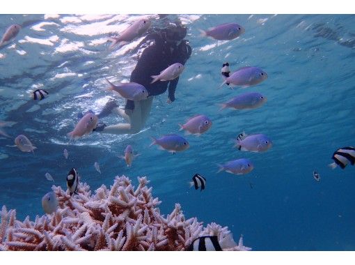 【沖縄・宮古島】サンセットシュノーケルの画像