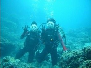 海宝館 シーブルーム