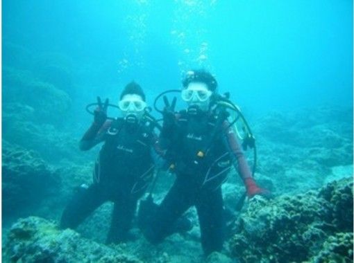 [Okinawa ・ Miyakojima] Beautiful coral and tropical fish ♪ Experience Diving Toursの画像