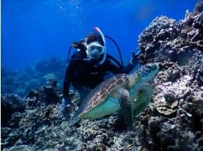 【沖縄・慶良間諸島】北谷発着！！写真無料プレゼント☆ケラマ諸島体験ダイビング＆スノーケリングツアー