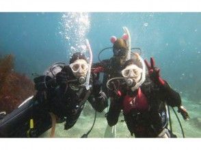 【静岡・伊豆半島】ダイビング(リフレッシュコース)の画像