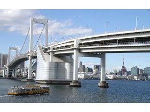 全景東京：明治神宮，淺草和東京灣
