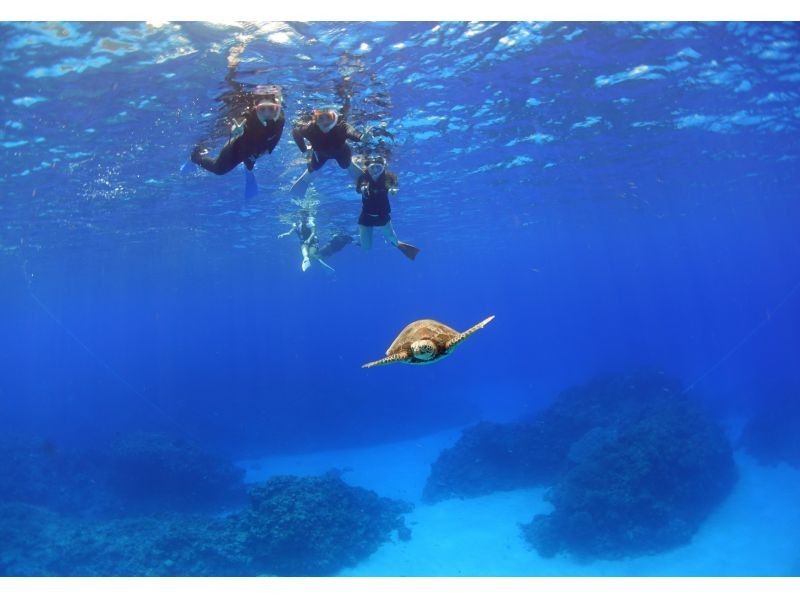 【北海道・SUP体験】透明度の高い支笏湖の湖面をクルージング！SUP体験（半日コース）の画像