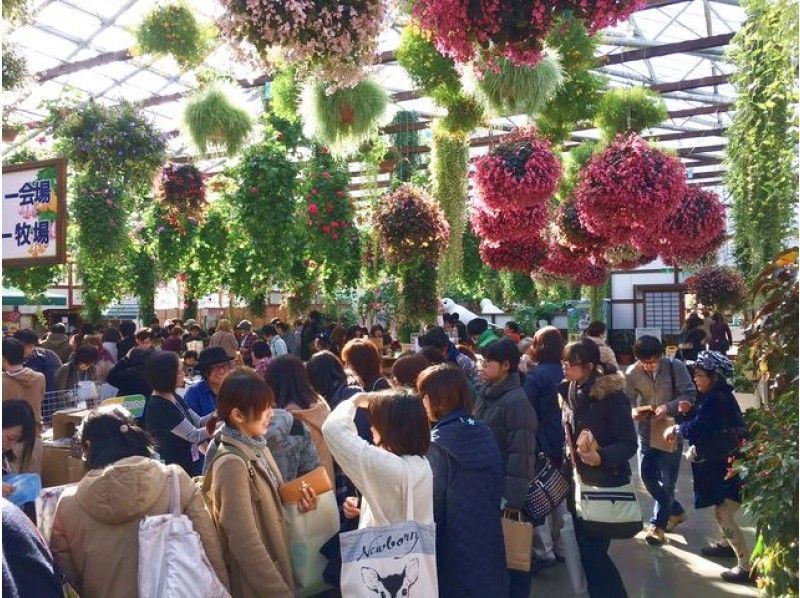 【東京発】≪3つの特典付≫夏休み!「夏のことり万博」開催!掛川花鳥園日帰りバスツアー【14641】