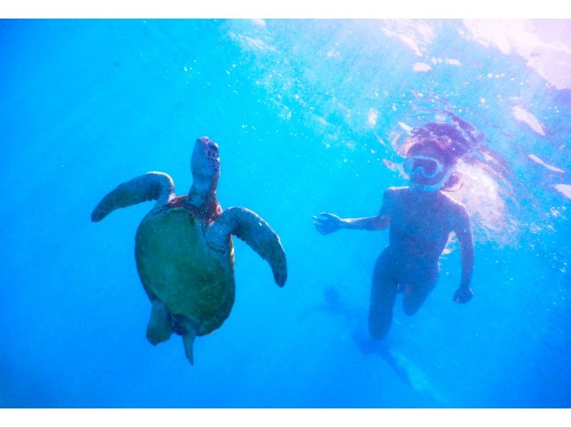 【沖縄・宮古島】浮人ウミガメツアー☆秘密のスポットでウミガメと泳ごう！