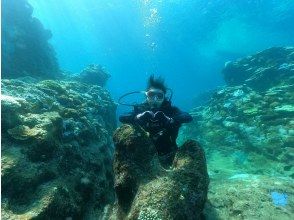 TEERA SCUBA VENTURES, OKINAWA（ティーラ　スクーバ　ヴェンチャーズ）