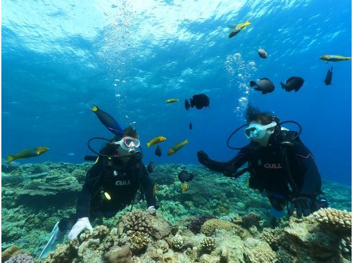 SALE! [Okinawa, Minna Island, Sesoko Island, Nakijin] Boat experience diving (2 dives) Photo and video shoot giftの画像