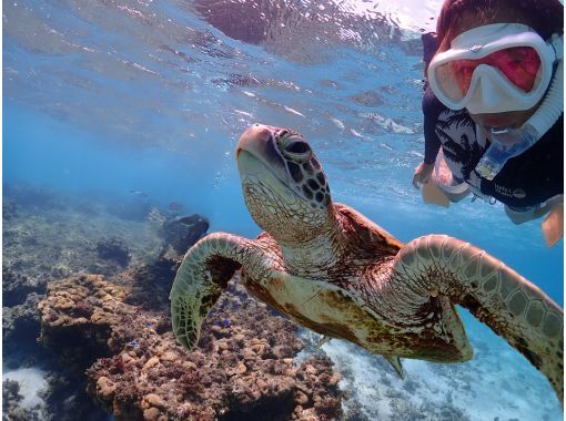 【沖縄・宮古島・1組貸切】1組限定のプライベートな☆ウミガメ☆シュノーケリングツアー  ツアー写真・動画データプレゼントの画像