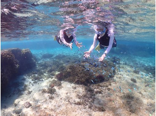 【沖縄・宮古島】1組貸切のプライベート〈シュノーケリングツアー〉  ツアー写真・動画データプレゼントの画像