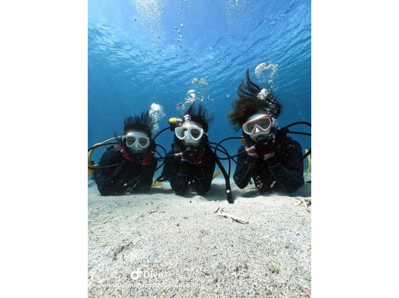 【宜野湾発・ケラマ諸島】貸切体験ダイビング★2ダイブ★写真&動画無制限その場でプレゼントの紹介画像