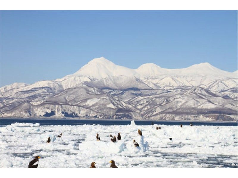【北海道・知床発】冬のひがし北海道周遊バスツアー ウトロ温泉⇒層雲峡温泉(網走・北見経由)④