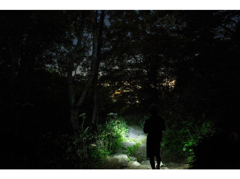 【北海道・札幌】もいわ山ナイトハイクツアー！ドキドキの夜の登山道！日本新三大夜景に圧巻！