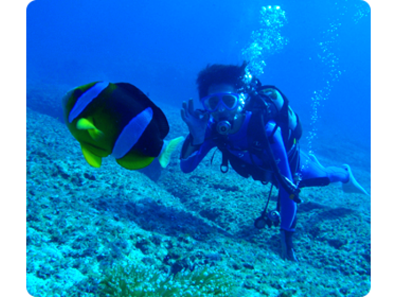 【沖縄・宮古島】初心者向け♪ ボート体験ダイビングツアー(1ダイブ・2ダイブ・3ダイブ★ランチ付き)