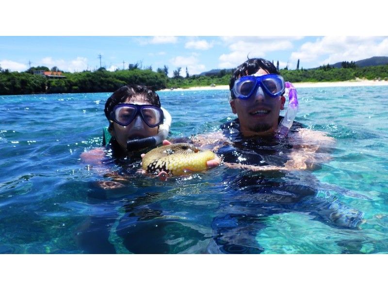 【美ら海水族館・今帰仁村・古宇利周辺】1組貸切！シュノ―ケルツアー！ドリンク・スイーツ・写真サービス
