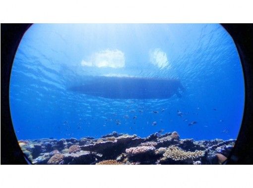 [โอกินาว่า/โคฮามาจิมะ] แหล่งมรดกโลกทางธรรมชาติ! ดำน้ำตื้น 2 จุดใกล้เกาะอิริโอโมเตะ (แผนครึ่งวัน)の画像