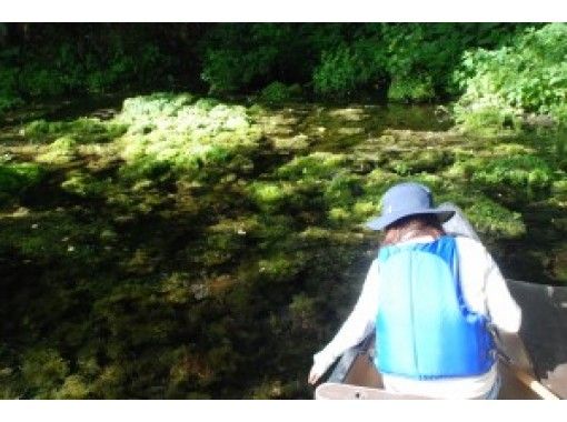 [北海道屈斜路]初学者和孩子们也可以享受！ s路川源头皮划艇长游♪下午茶和小吃の画像