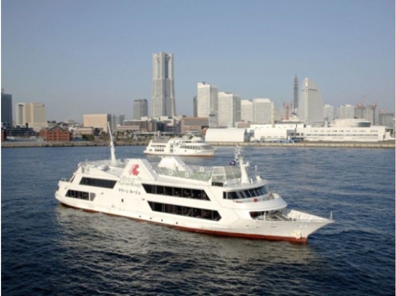 【横浜・山下公園乗船】(優先乗船確約!)海上自衛隊観艦式・参加艦船観覧クルーズ【14884】