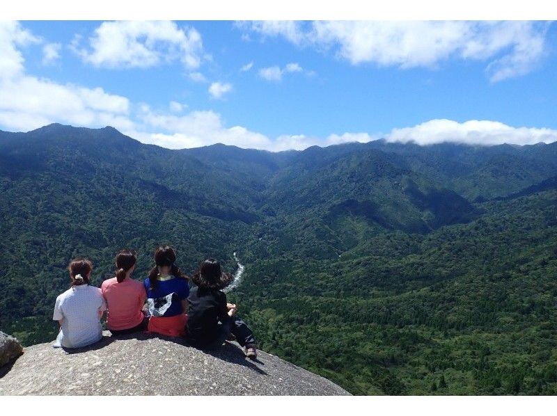 【鹿児島・屋久島】完全貸切ガイド！苔の森から、天空の大展望へ！白谷雲水峡トレッキング【１名様ＯＫ！】