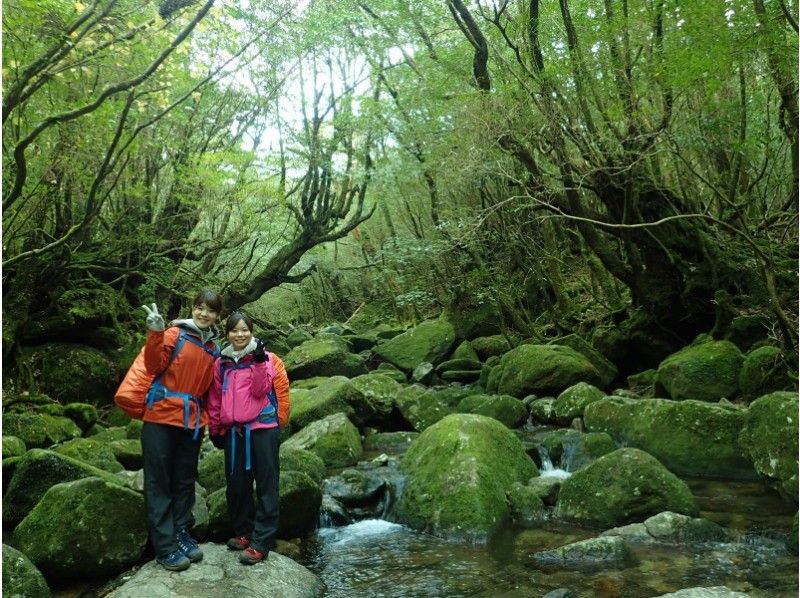 【鹿児島・屋久島】完全貸切ガイド！人気の二大コースを一度に歩ける♪ 縄文杉+白谷雲水峡一泊登山