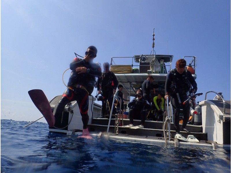 【本島中部発:ケラマFUN】ビギナーさん大歓迎☆2ボートFUNダイビング☆レンタル器材込み☆送迎あり