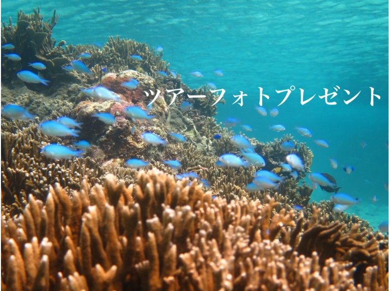 【宮古島/限定割引】貸切プライベートツアー♪3才から楽しめる！ニモと珊瑚、宮古ブルーを満喫